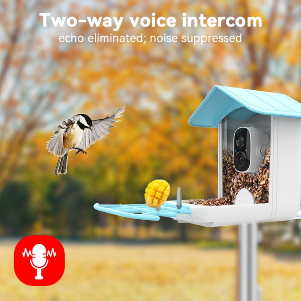Smart Bird Feeder with Camera, Bird Watching Camera, Auto Capture Bird Videos & Motion Detection - tuttostyle4u