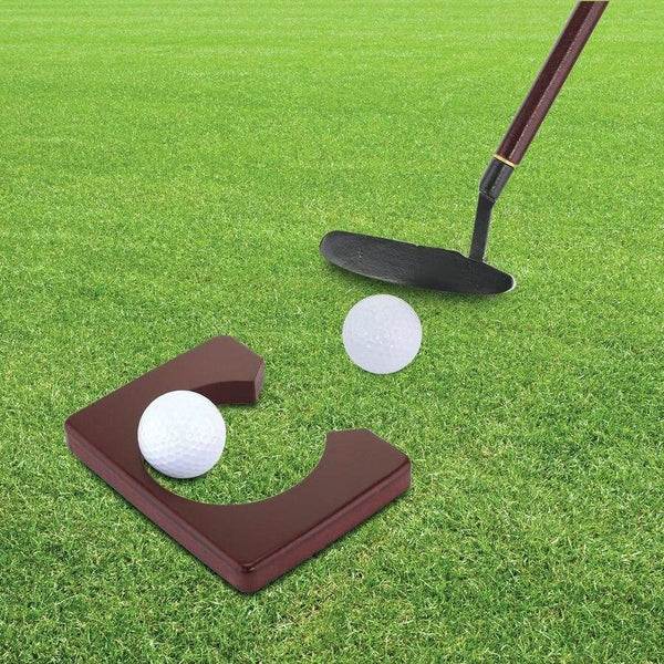 Portable Golf Putter Putting Gift Set Kit with Putter 2pcs Balls Putting Cup for Indoor Outdoor Training Practice - tuttostyle4u