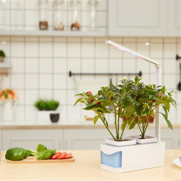 Smart Indoor Hydroponics Garden Kit, Herbs, Fruit, Growing System, led light - tuttostyle4u