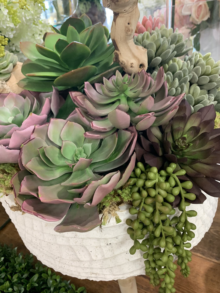 Tabletop Natural Wood and Succulents plants - tuttostyle4u