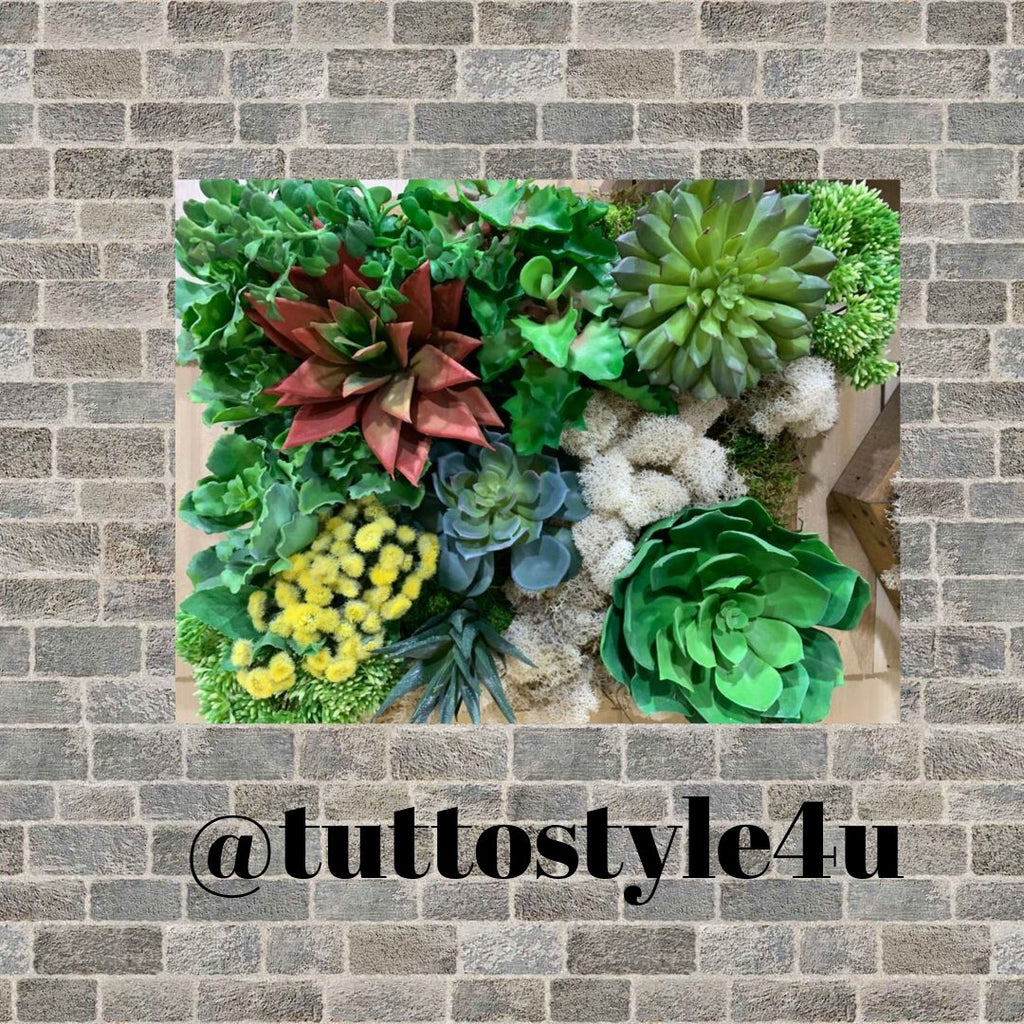 Wall Succulents Square - tuttostyle4u